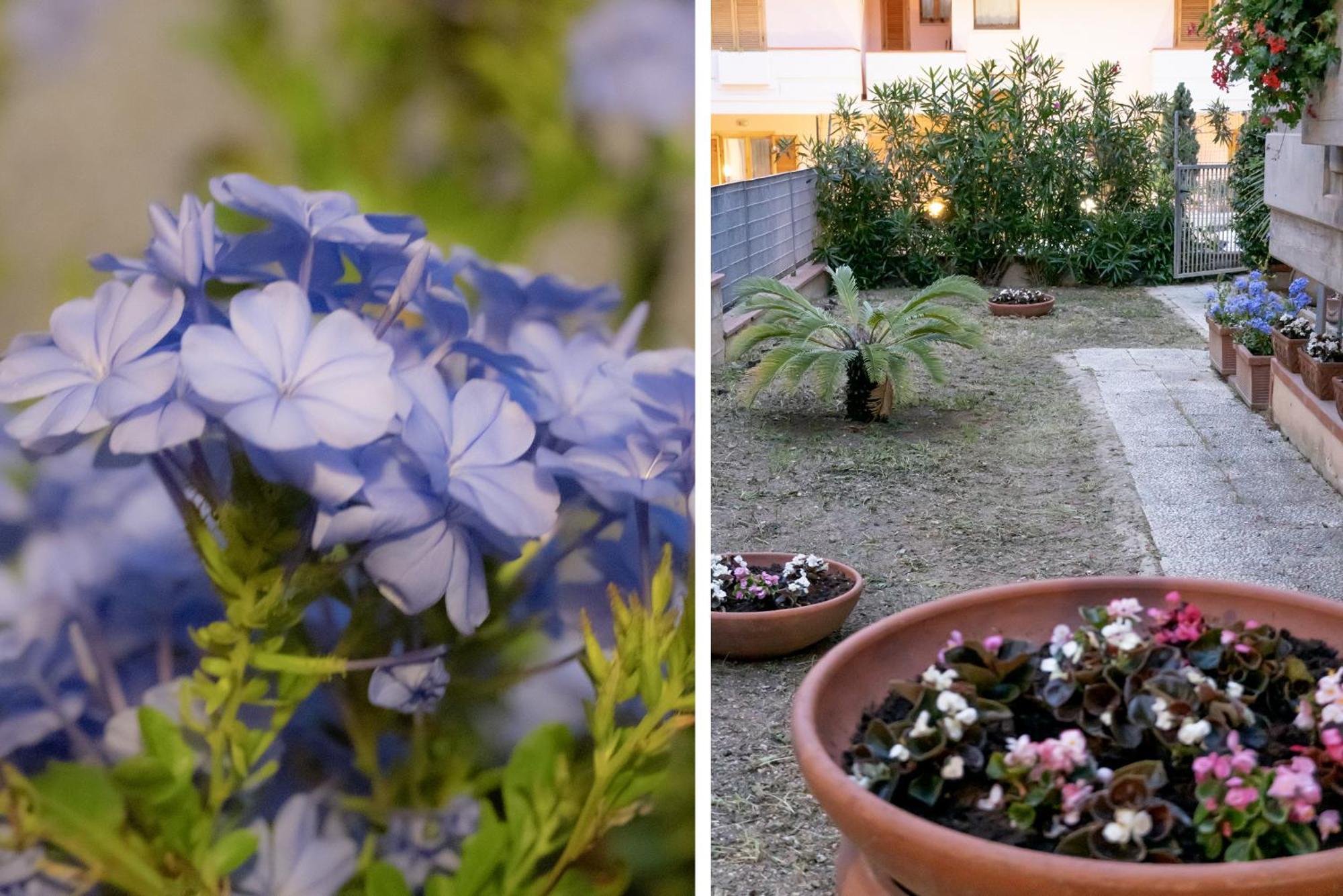 Il Giardino Appartement Civitanova Marche Buitenkant foto